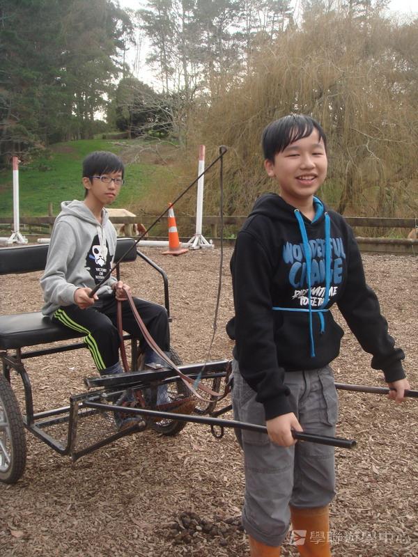 新西蘭農莊體驗之旅,學聯遊學團