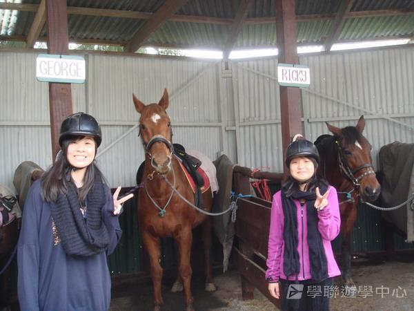 新西蘭農莊體驗之旅,學聯遊學團