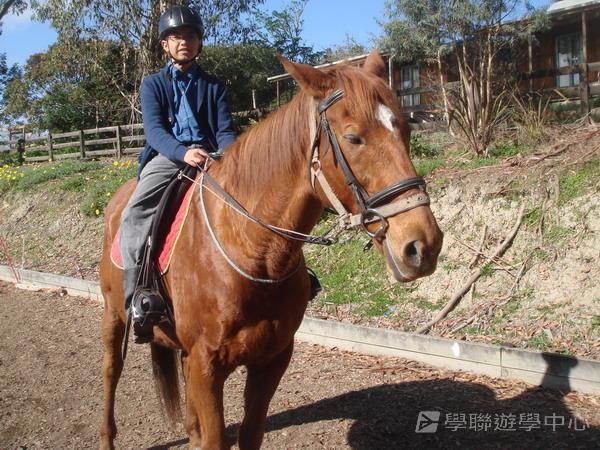 新西蘭農莊體驗之旅,學聯遊學團