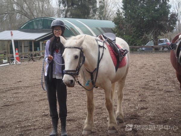 新西蘭農莊體驗之旅,學聯遊學團