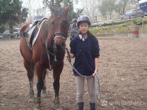 新西蘭農莊體驗之旅,學聯遊學團