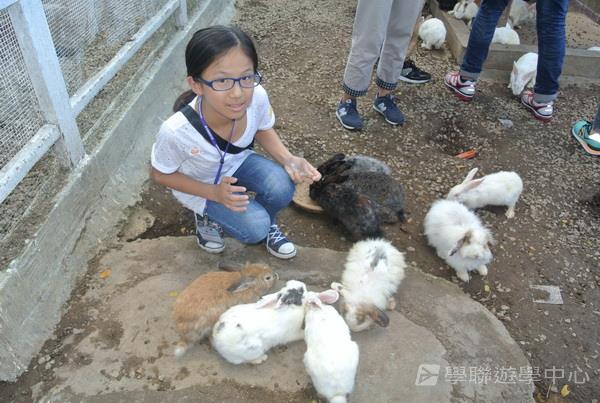 新加坡小記者訓練學習之旅,學聯遊學團