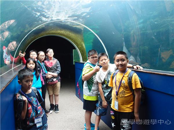 繽FUN遊學生活體驗之旅,學聯遊學團