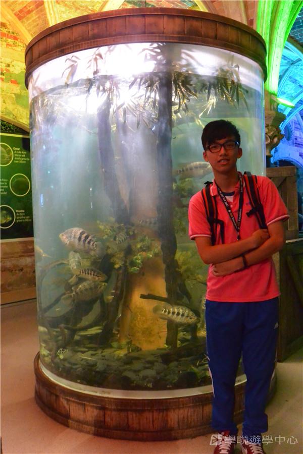 倫敦殿堂學府體驗之旅,學聯遊學團