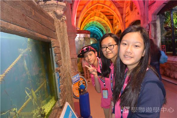 倫敦殿堂學府體驗之旅,學聯遊學團