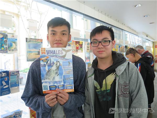 澳洲東岸體驗假期 ,學聯遊學團