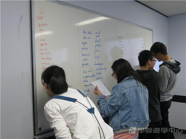 澳洲東岸體驗假期 ,學聯遊學團