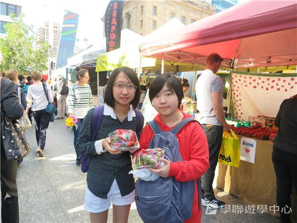 澳洲東岸體驗假期 ,學聯遊學團