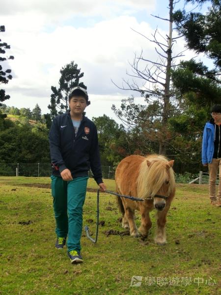 黃金海岸金色遊學假期,學聯遊學團