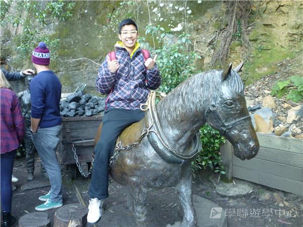 悉尼都會文化體驗遊學假期,學聯遊學團