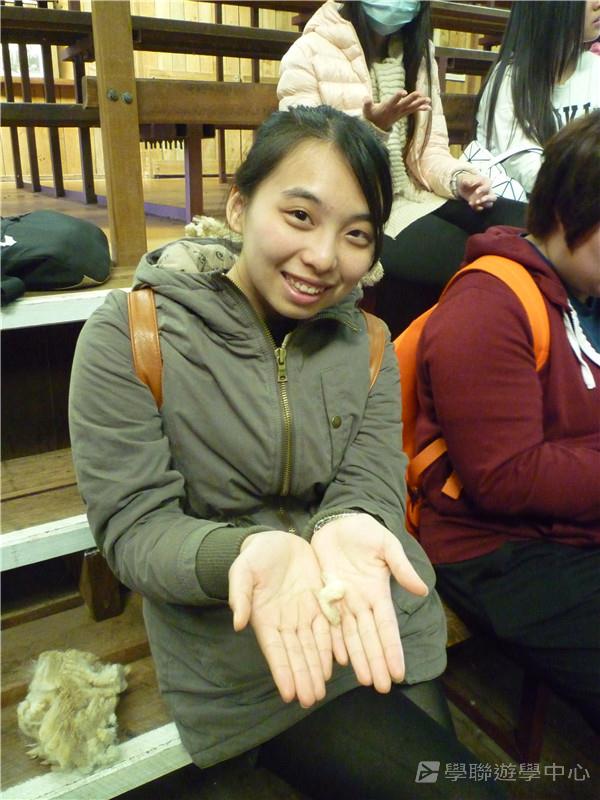 悉尼都會文化體驗遊學假期,學聯遊學團