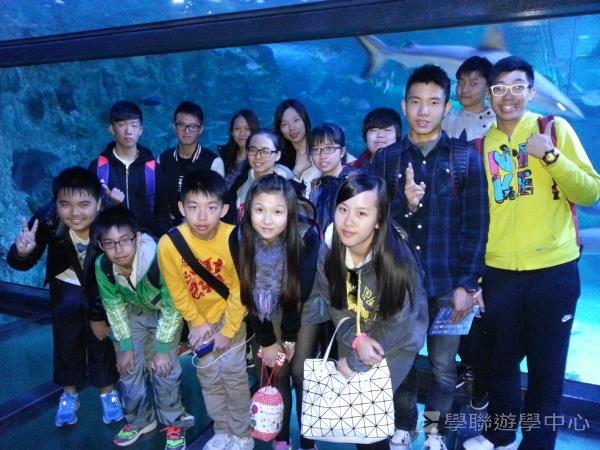 悉尼都會文化體驗遊學假期,學聯遊學團