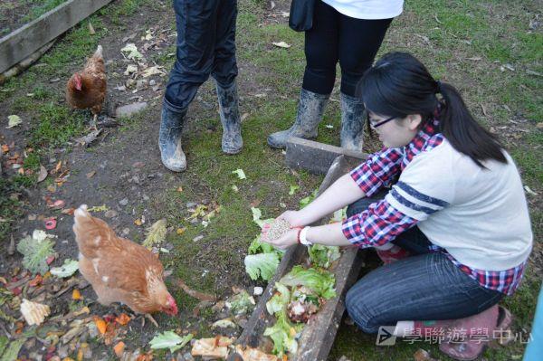 新西蘭農莊體驗之旅,學聯遊學團
