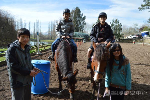 新西蘭農莊體驗之旅,學聯遊學團