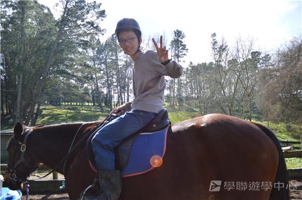 新西蘭農莊體驗之旅,學聯遊學團