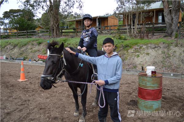 新西蘭農莊體驗之旅,學聯遊學團