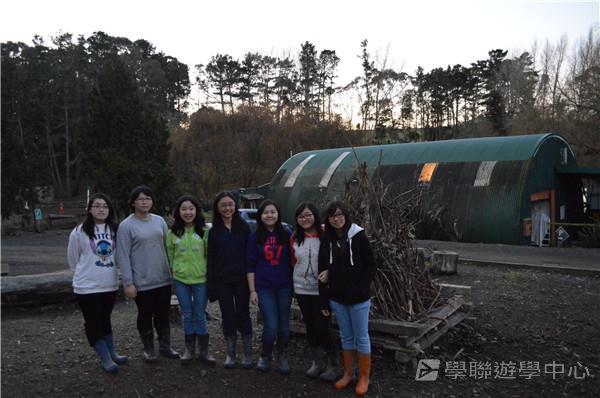 新西蘭農莊體驗之旅,學聯遊學團