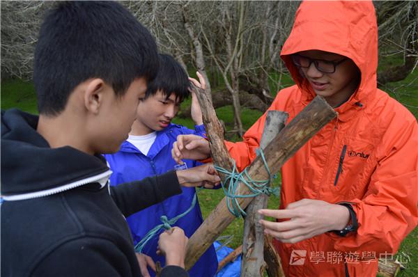 新西蘭農莊體驗之旅,學聯遊學團