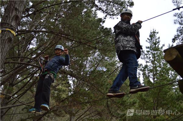 新西蘭農莊體驗之旅,學聯遊學團