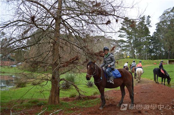 新西蘭農莊體驗之旅,學聯遊學團