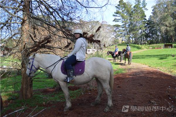 新西蘭農莊體驗之旅,學聯遊學團