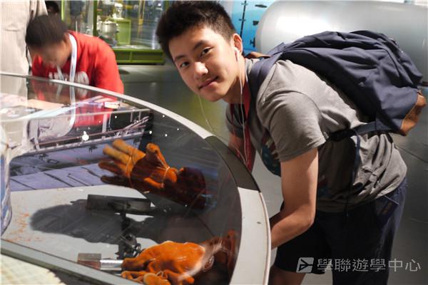 哈佛大學世界名校文化體驗營,學聯遊學團