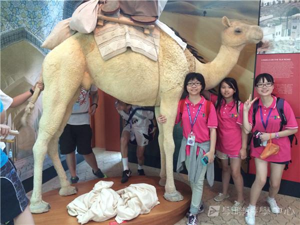 新加坡通識訓練學習之旅,學聯遊學團