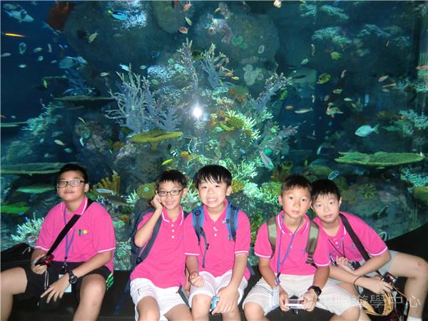 新加坡通識訓練學習之旅,學聯遊學團
