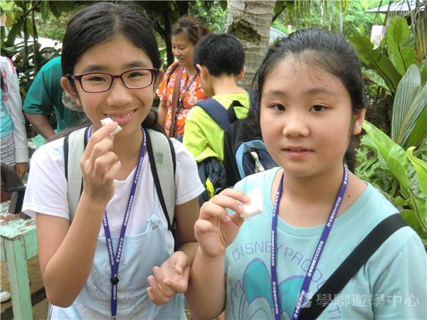 新加坡通識訓練學習之旅,學聯遊學團