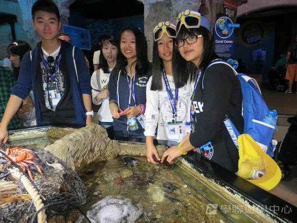 倫敦殿堂學府體驗之旅,學聯遊學團
