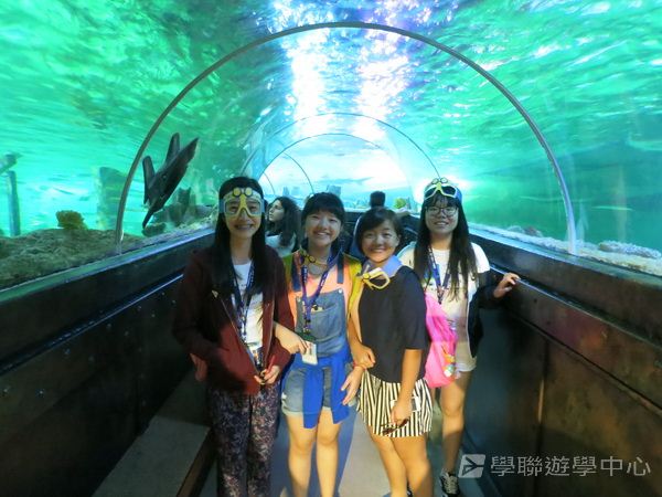 倫敦殿堂學府體驗之旅,學聯遊學團