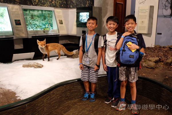 繽FUN遊學生活體驗之旅,學聯遊學團