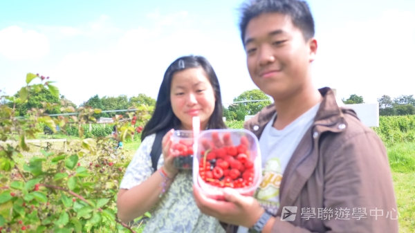 英式生活體驗營,學聯遊學團