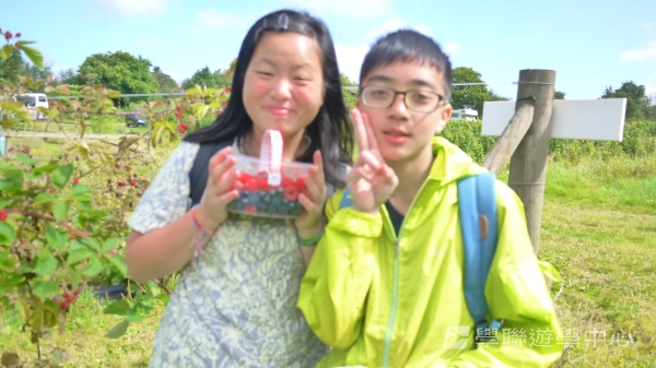 英式生活體驗營,學聯遊學團