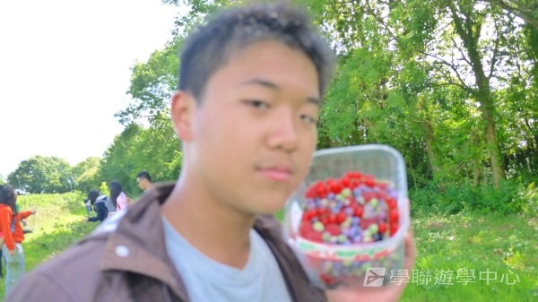 英式生活體驗營,學聯遊學團