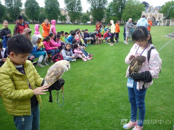 繽FUN遊學生活體驗之旅,學聯遊學團