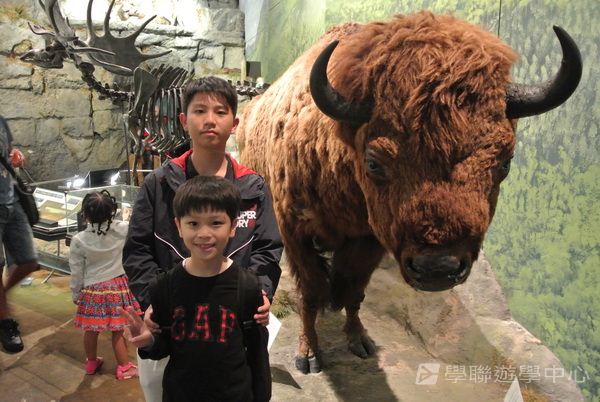 繽FUN遊學生活體驗之旅,學聯遊學團