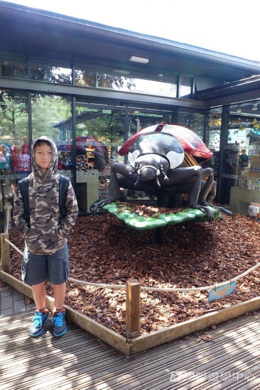 繽FUN遊學生活體驗之旅,學聯遊學團