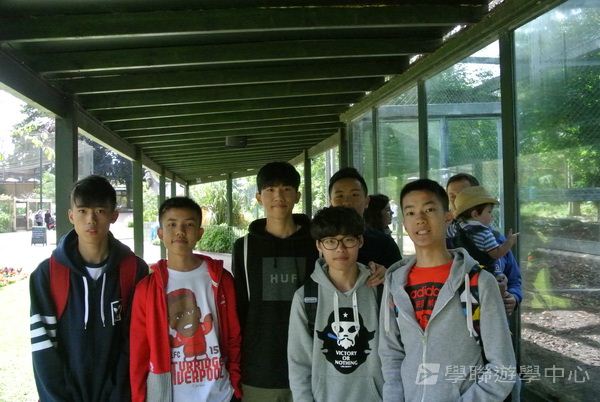 繽FUN遊學生活體驗之旅,學聯遊學團