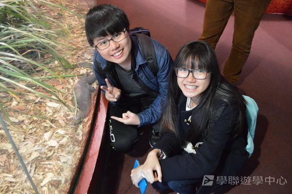 悉尼都會文化體驗遊學假期,學聯遊學團