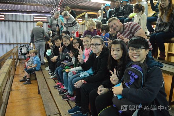 悉尼都會文化體驗遊學假期,學聯遊學團