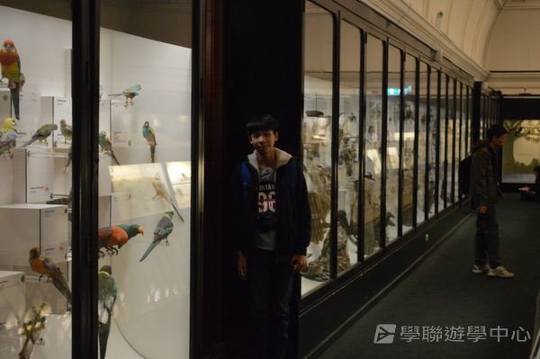 悉尼都會文化體驗遊學假期,學聯遊學團