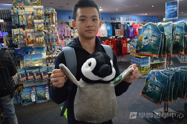 悉尼都會文化體驗遊學假期,學聯遊學團