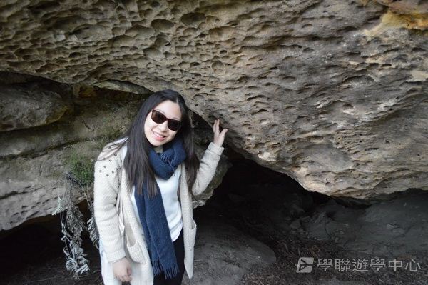 悉尼都會文化體驗遊學假期,學聯遊學團