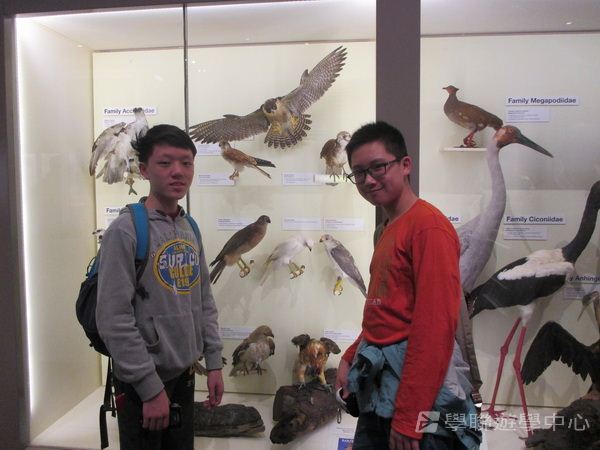 澳洲東岸體驗假期,學聯遊學團