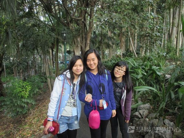 澳洲東岸體驗假期,學聯遊學團