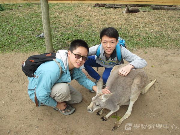 澳洲東岸體驗假期,學聯遊學團