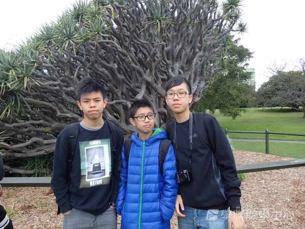 悉尼都會文化體驗遊學假期,學聯遊學團