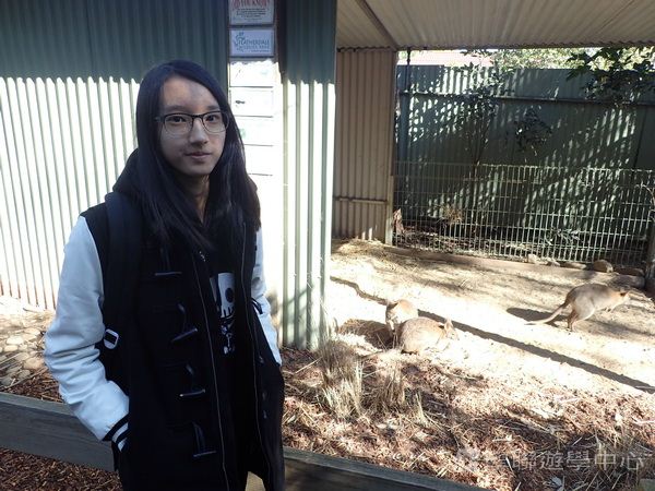 悉尼都會文化體驗遊學假期,學聯遊學團