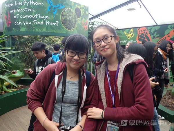 悉尼都會文化體驗遊學假期,學聯遊學團